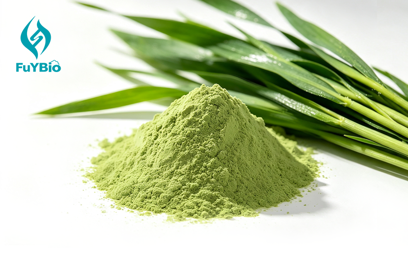 Pure Organic Barley Grass Powder